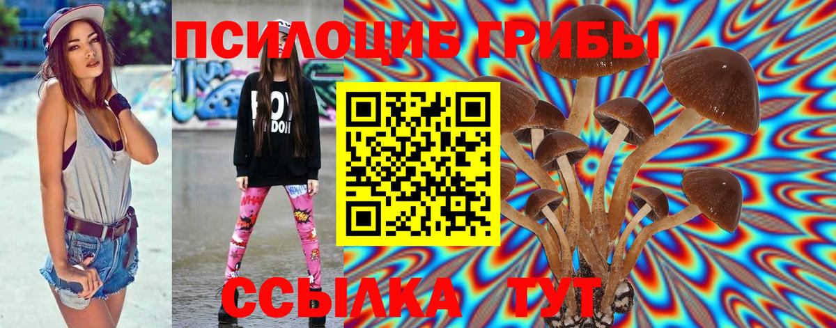 Псилоцибиновые грибы Cubensis Кубинка