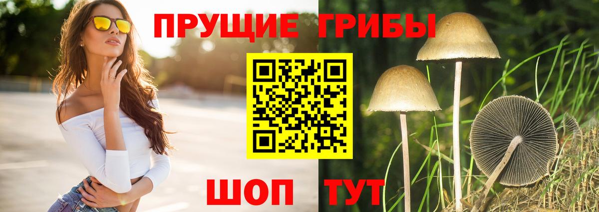 Кубинка  Псилоцибиновые грибы GOLDEN TEACHER  Вход с VPN  Псилоцибиновые грибы Psilocybe 